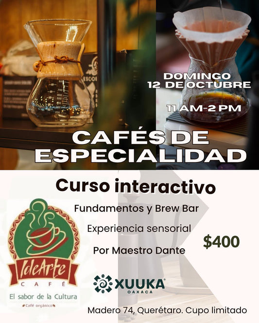 Curso cafés de especialidad