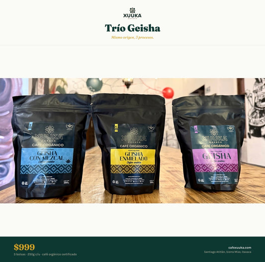 Trío Geisha